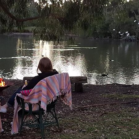 Вилла The Burrow At Wombat Bend Dixons Creek Экстерьер фото