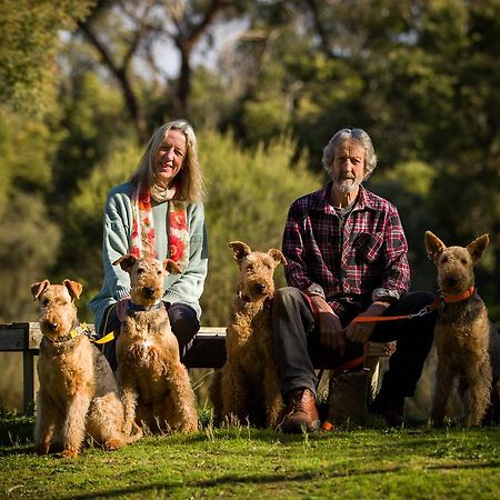 Вилла The Burrow At Wombat Bend Dixons Creek Экстерьер фото