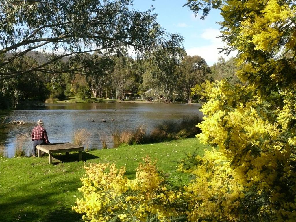 Вилла The Burrow At Wombat Bend Dixons Creek Номер фото