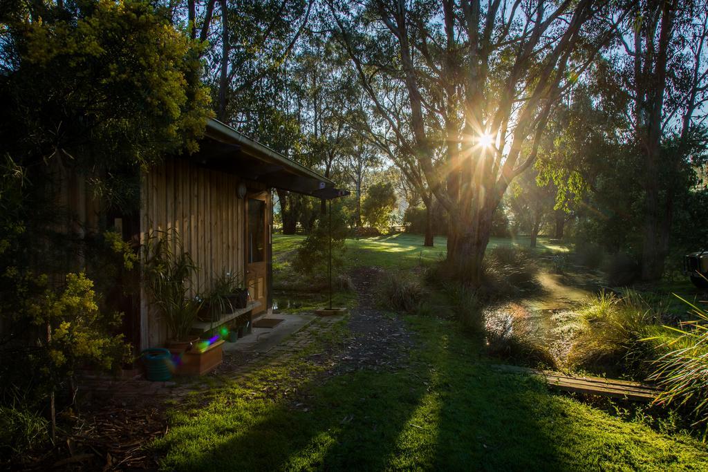 Вилла The Burrow At Wombat Bend Dixons Creek Экстерьер фото