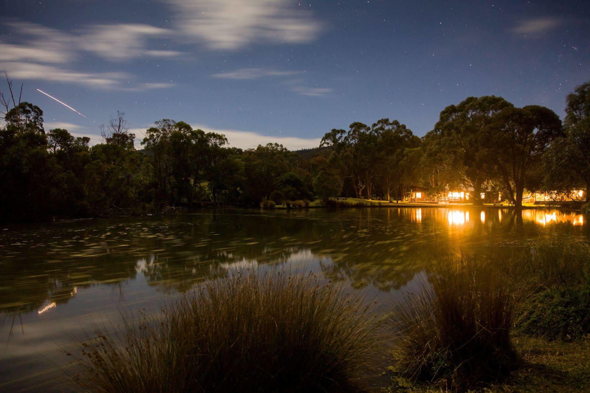 Вилла The Burrow At Wombat Bend Dixons Creek Экстерьер фото