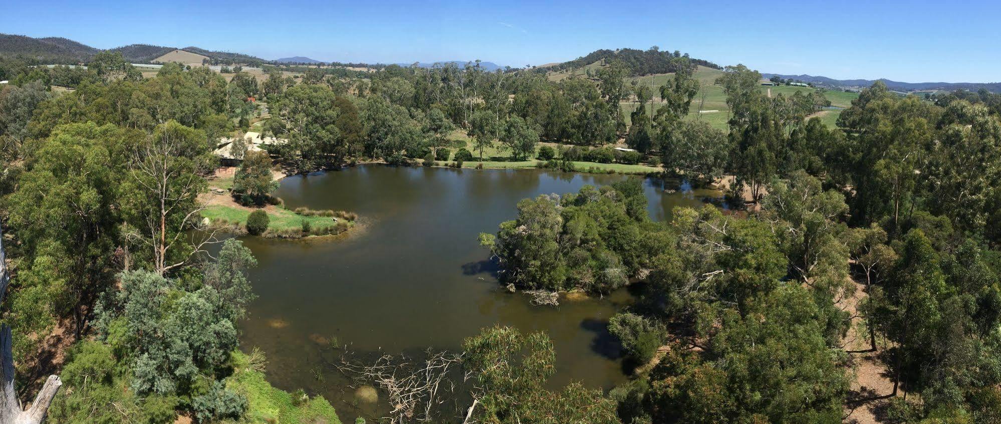 Вилла The Burrow At Wombat Bend Dixons Creek Экстерьер фото