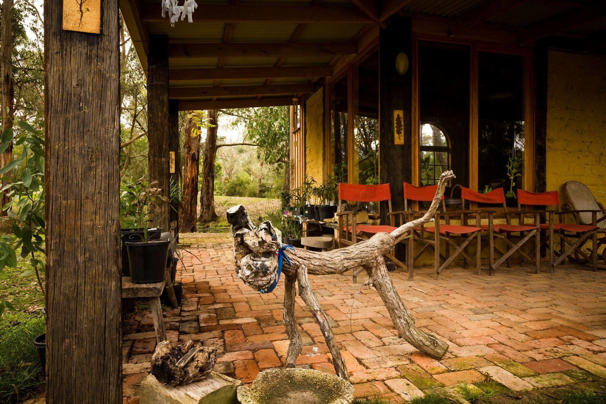 Вилла The Burrow At Wombat Bend Dixons Creek Экстерьер фото