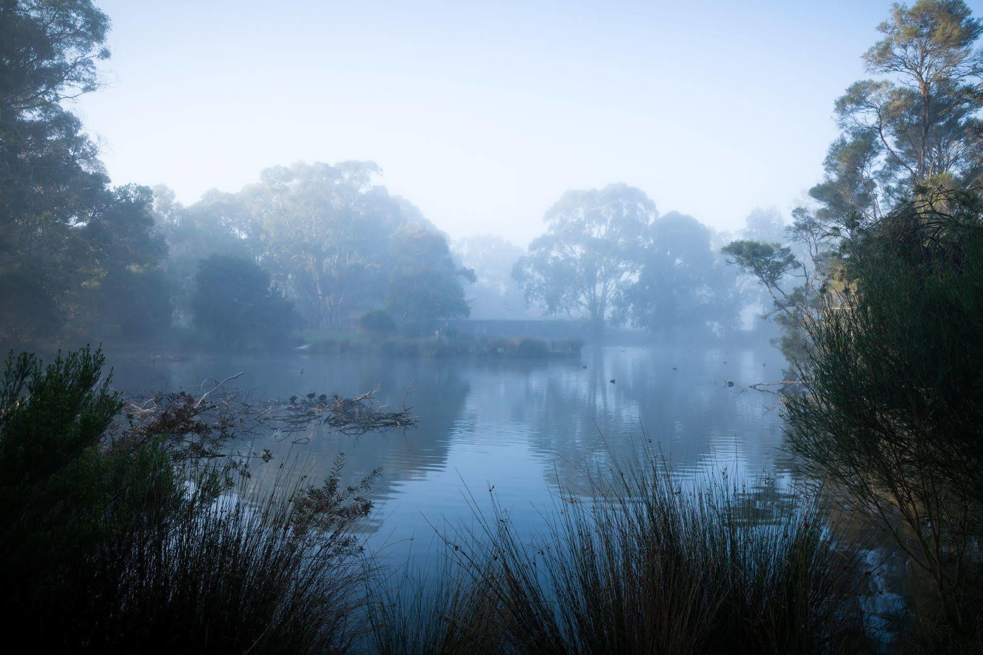 Вилла The Burrow At Wombat Bend Dixons Creek Экстерьер фото