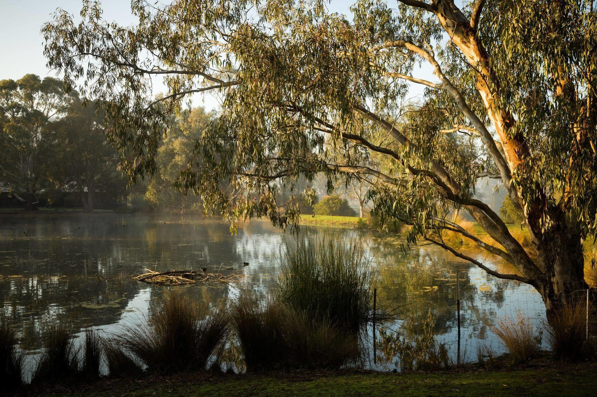 Вилла The Burrow At Wombat Bend Dixons Creek Экстерьер фото
