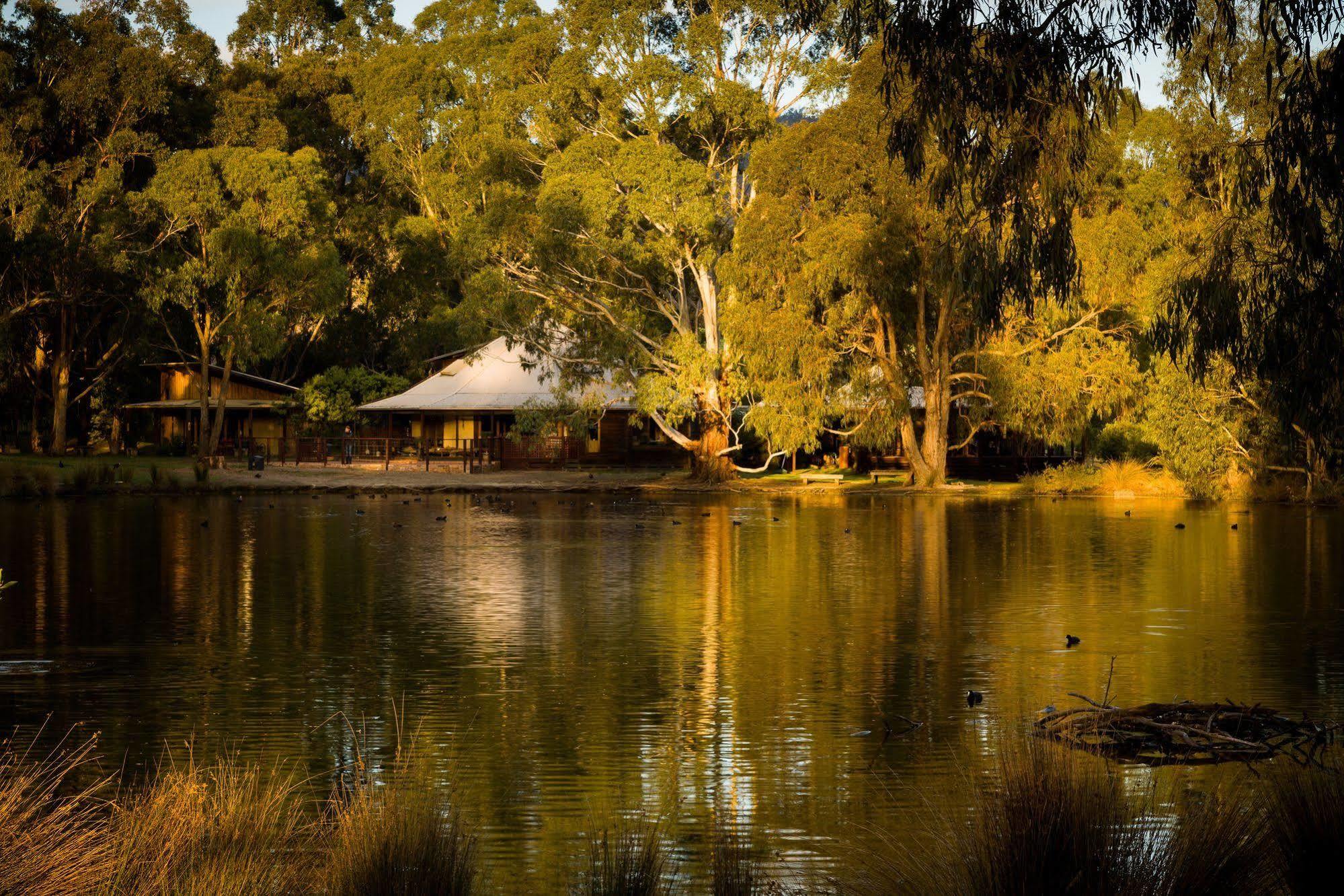 Вилла The Burrow At Wombat Bend Dixons Creek Экстерьер фото